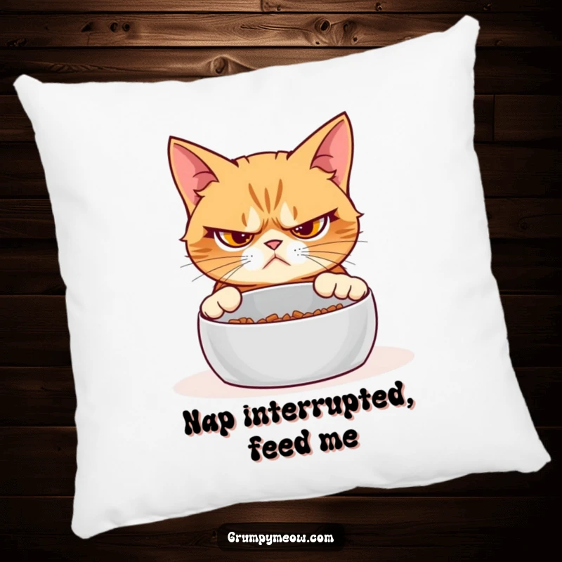 Funny grumpy cat pillow, skeptical expression, empty food bowl, soft comfort, feline attitude, humorous home accent.