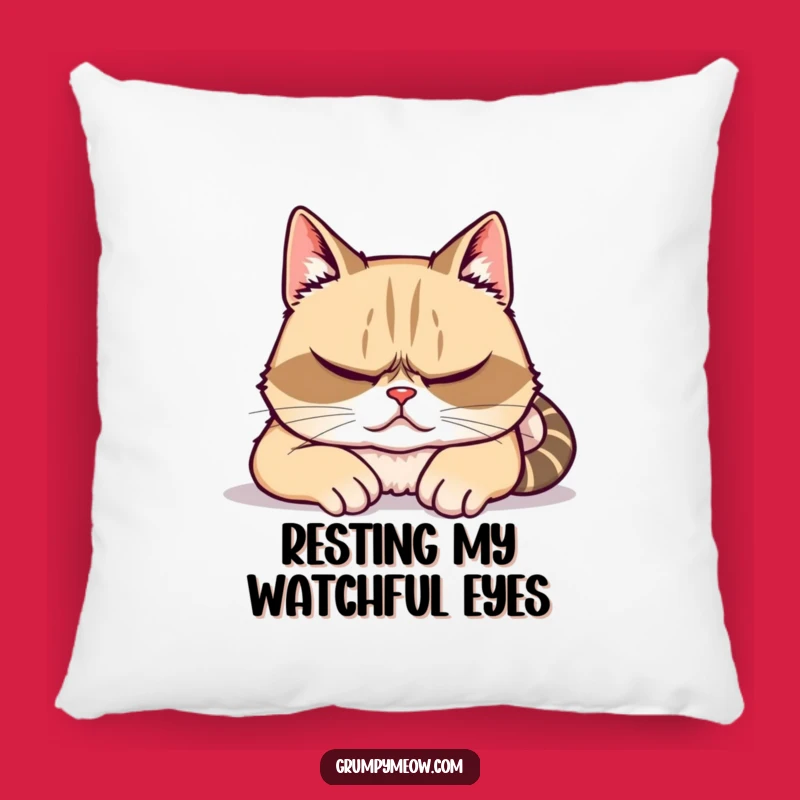 Funny Grumpy Cat Pillow - Cozy Surveillance for Your Sofa