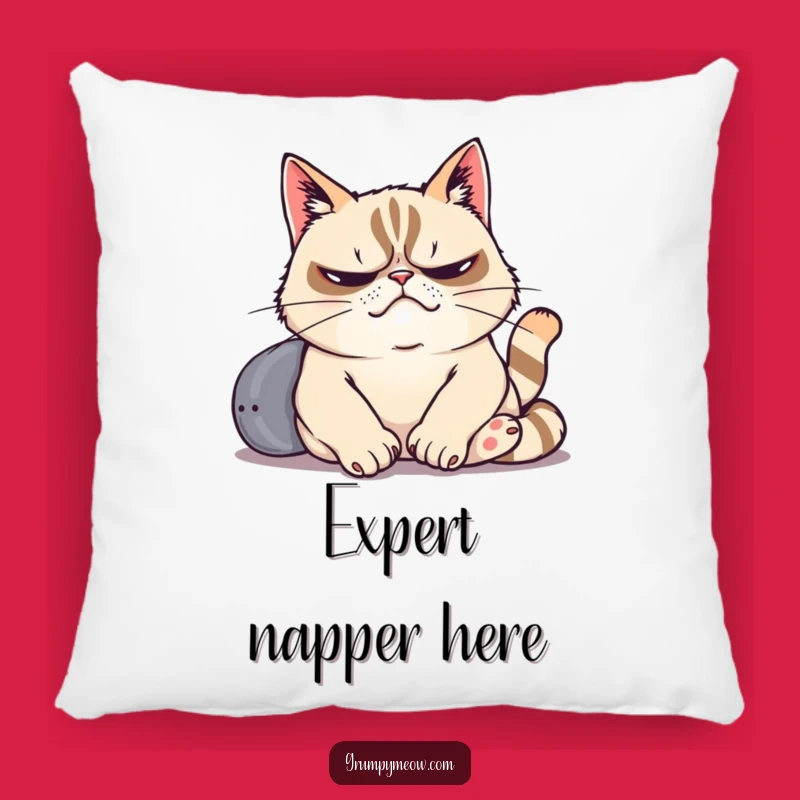 Funny Grumpy Cat Pillow - For The Ultimate Relaxer
