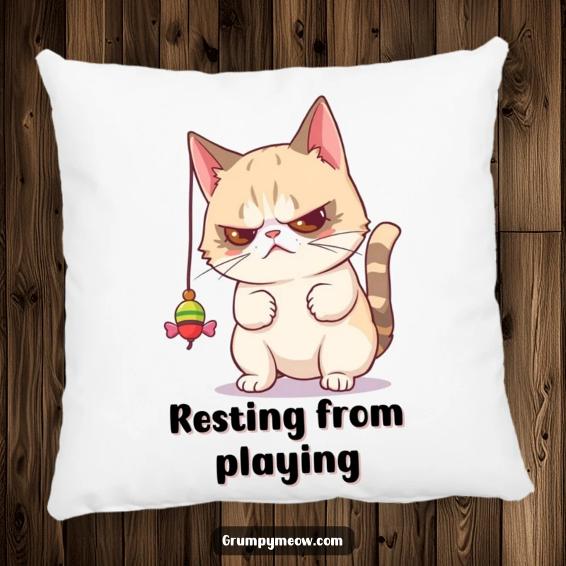 Funny decorative pillow featuring a grumpy cat batting a toy with strong disdain, adding humorous feline sass to any relaxation spot.