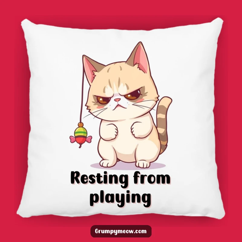 Funny Grumpy Cat Toy Batting Pillow - Cozy Disdain & Hilarious Comfort Gift