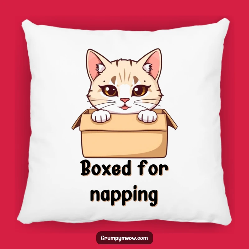 Funny Peeking Cat Pillow: Cozy Box, Furrowed Comfort, Perfect Home Decor Gift