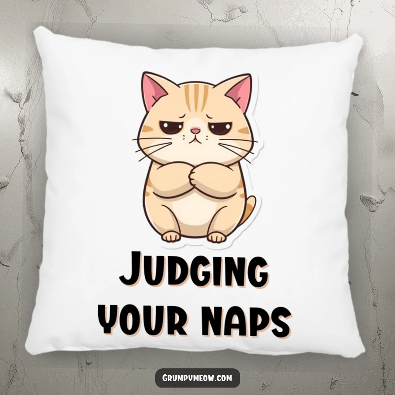 Funny Pillow: A round cat with crossed arms looks unimpressed but curious, adding a humorous and comfortable touch to any room.