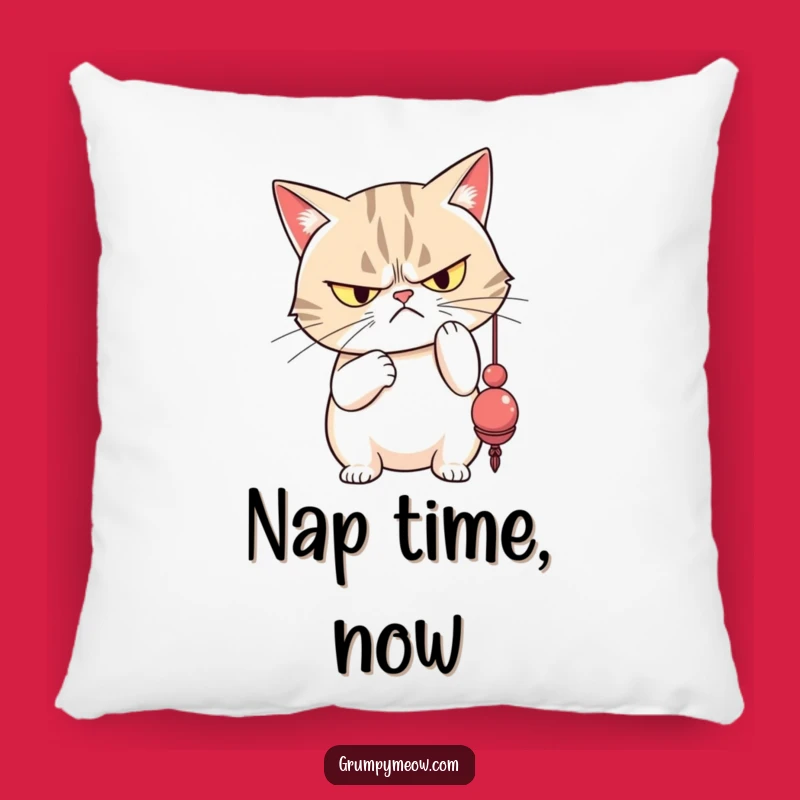 Funny Grumpy Cat Pillow: Disdainful Toy Bat, Cozy Cat Lover Gift