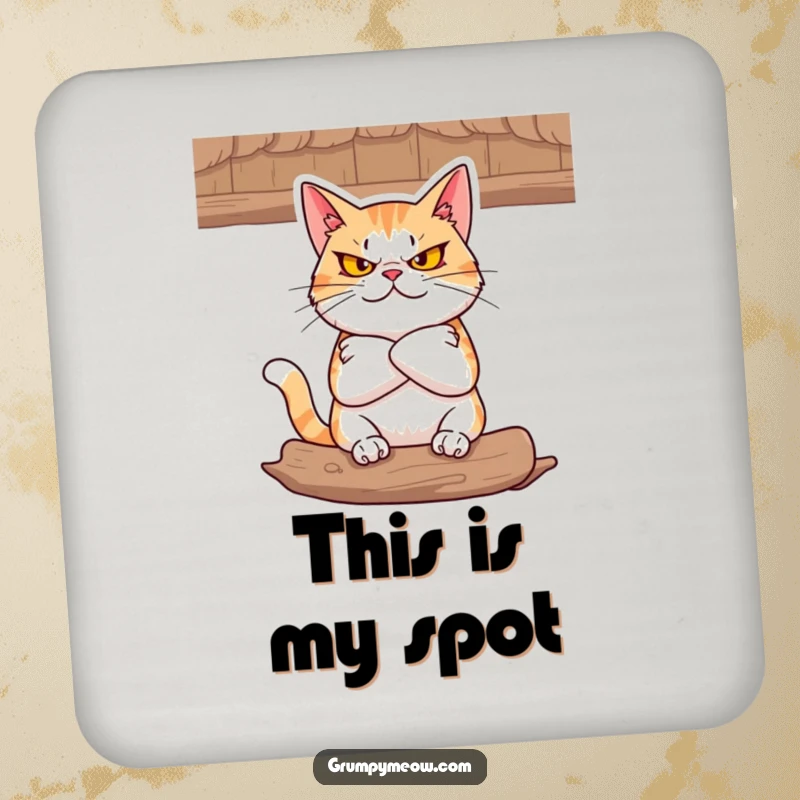 Funny Coaster: A defiant cat with folded arms glares from a cozy perch, offering stylish surface protection with attitude.