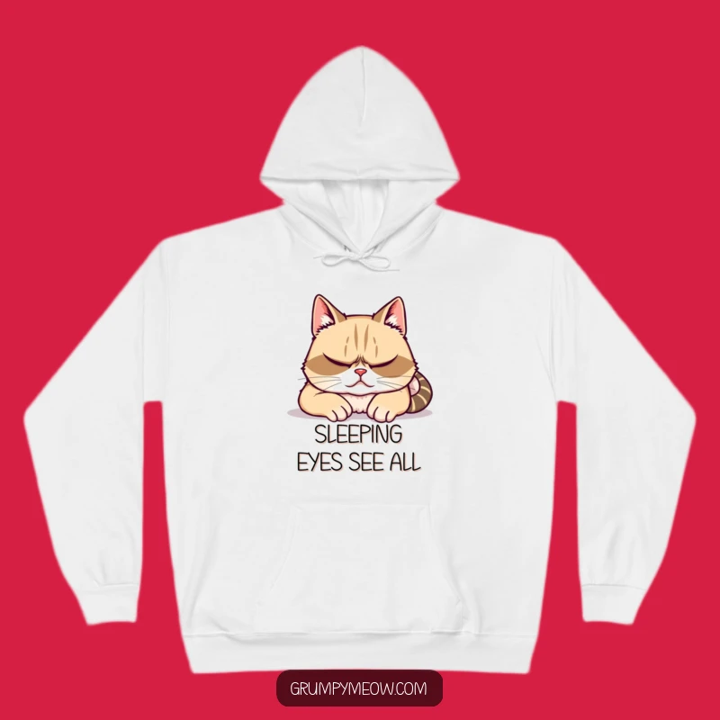Funny Grumpy Cat Hoodie - Cozy Surveillance, Perfect Cat Lover Gift