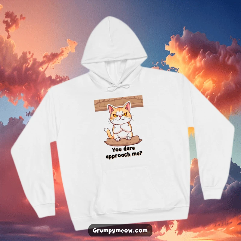 Funny Hoodie: A cat with folded arms glares from a comfy spot, a picture of absolute defiance and determination.