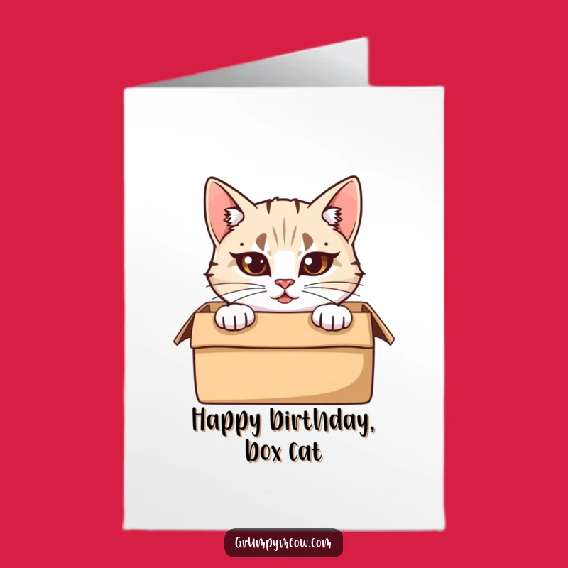 Free Printable Box Cat Birthday Card: Furrowed Brow, Funny Downloadable Gift