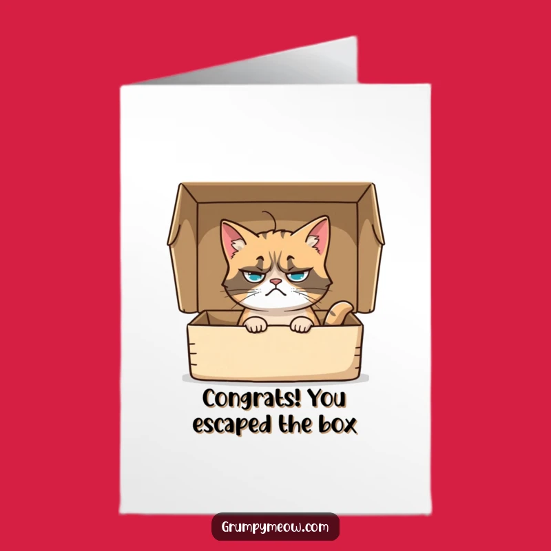 Free Printable Grumpy Cat Congrats Card: Funny Cat in Box Downloadable