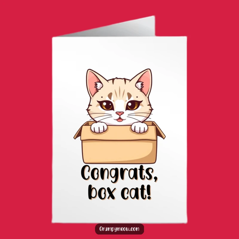 Free Printable Box Cat Congrats Card: Peeking Cat, Funny Downloadable Gift