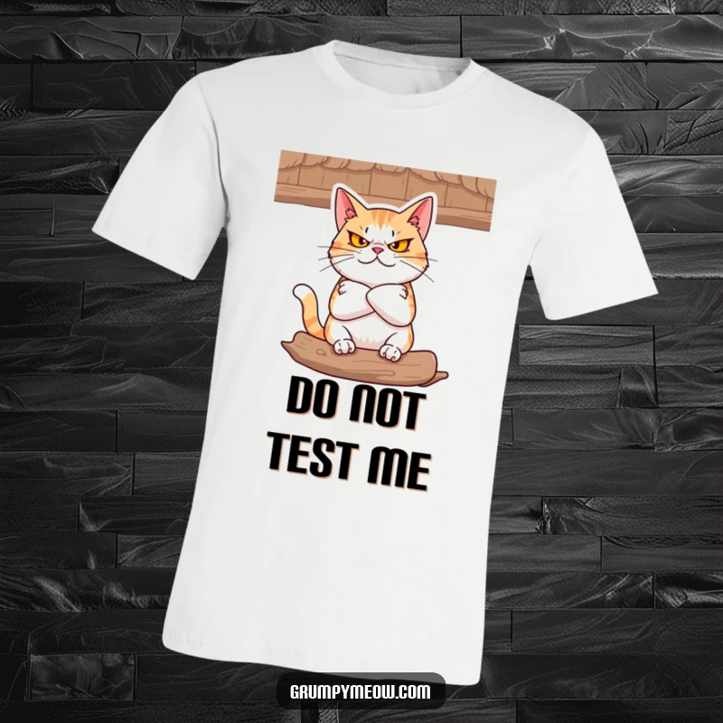 Funny T-Shirt: A cat with folded arms glares defiantly from a cozy perch, showing a stubborn and unyielding attitude.